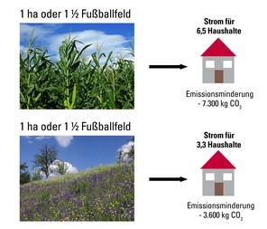 fussballfeld