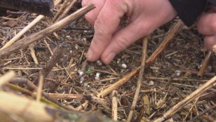 Achtung Mikroplastik - Wie Kunststoffe alles ruinieren