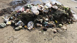 Störstoffe in der Biotonne