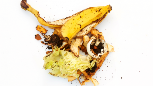 Potenzial organischer Abfälle in Österreich