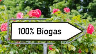 Helmut Sachers Kaffee: Mit Biogas zu nachhaltigem Kaffeegenuss