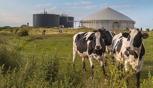 Biogas im Fokus: IEA Outlook bis 2050