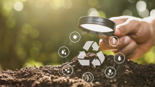 Wundermittel für den Acker: Was Kompost für den Pflanzenschutz leistet