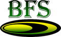 Bio Fuel Systems GmbH – Unternehmensberatung