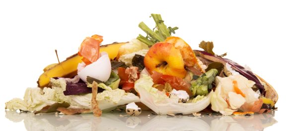 A,Pile,Of,Rotting,Food,Waste,Is,Isolated,On,A