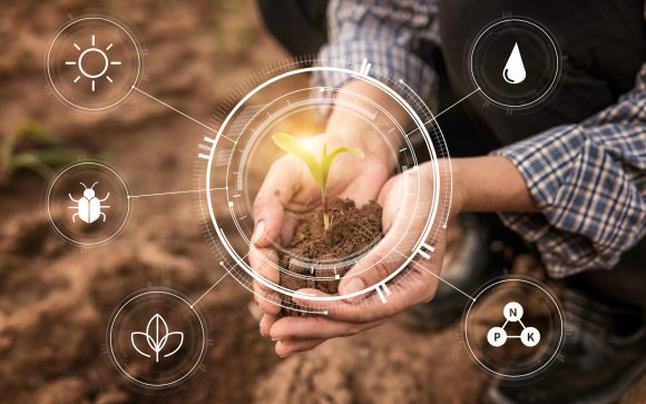Smart,Farming,With,Iot,growing,Corn,Seedling,With,Infographics.,Smart,Farming
